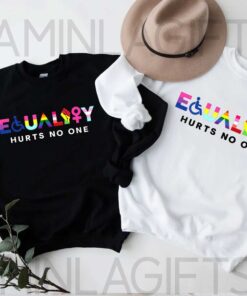 Equality Hurts No One Shirt 4